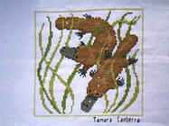 Any child cross stitch category: Animals - Australian