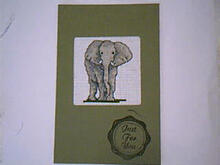Card for (QUILTED) Realistic Wildlife E01