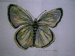 Cross stitch square for (QUILTED) Butterfly E02's quilt