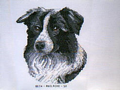 Cross stitch square for Louise C's quilt