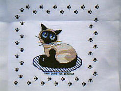Cross stitch square for Tyrion  M's quilt