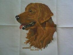 Cross stitch square for Ben  T's quilt