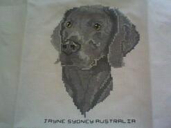 Cross stitch square for Ben  T's quilt