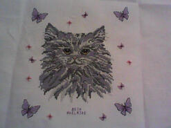Cross stitch square for Kaylee-Jayde's quilt