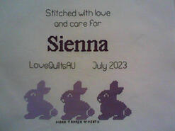 Cross stitch square for Sienna's quilt
