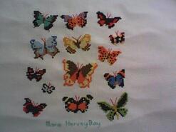 Cross stitch square for Faye's quilt
